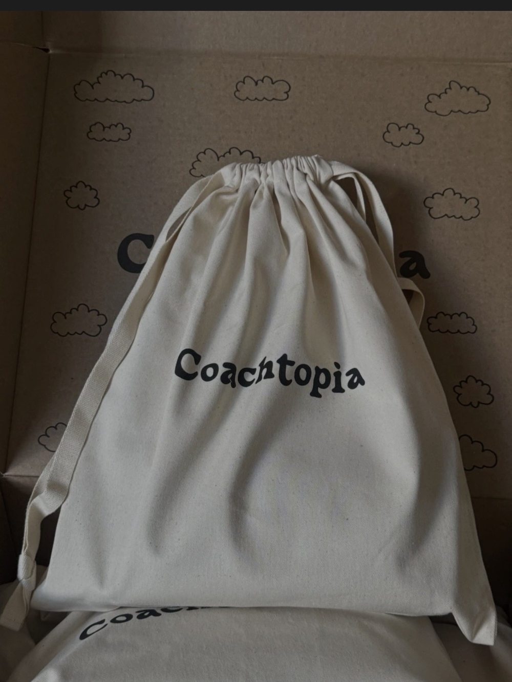 Coach Topia Cotton Dust Bag — Cream Drawstring Bag
